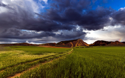 978467 (a): :2560x1600